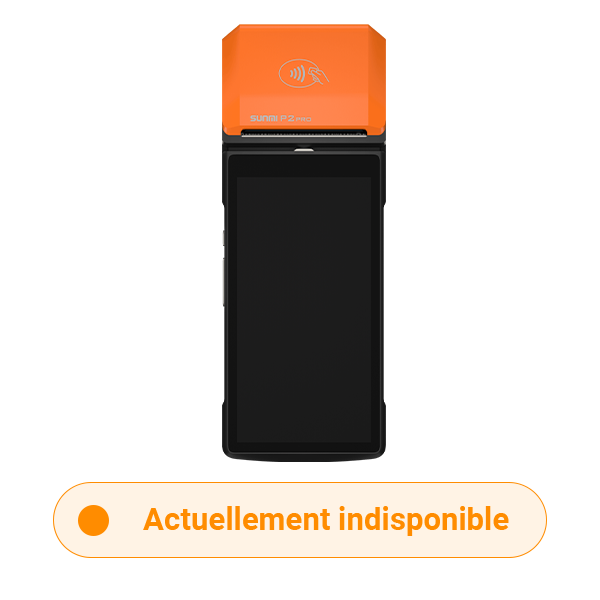 Terminal Android P2 pro